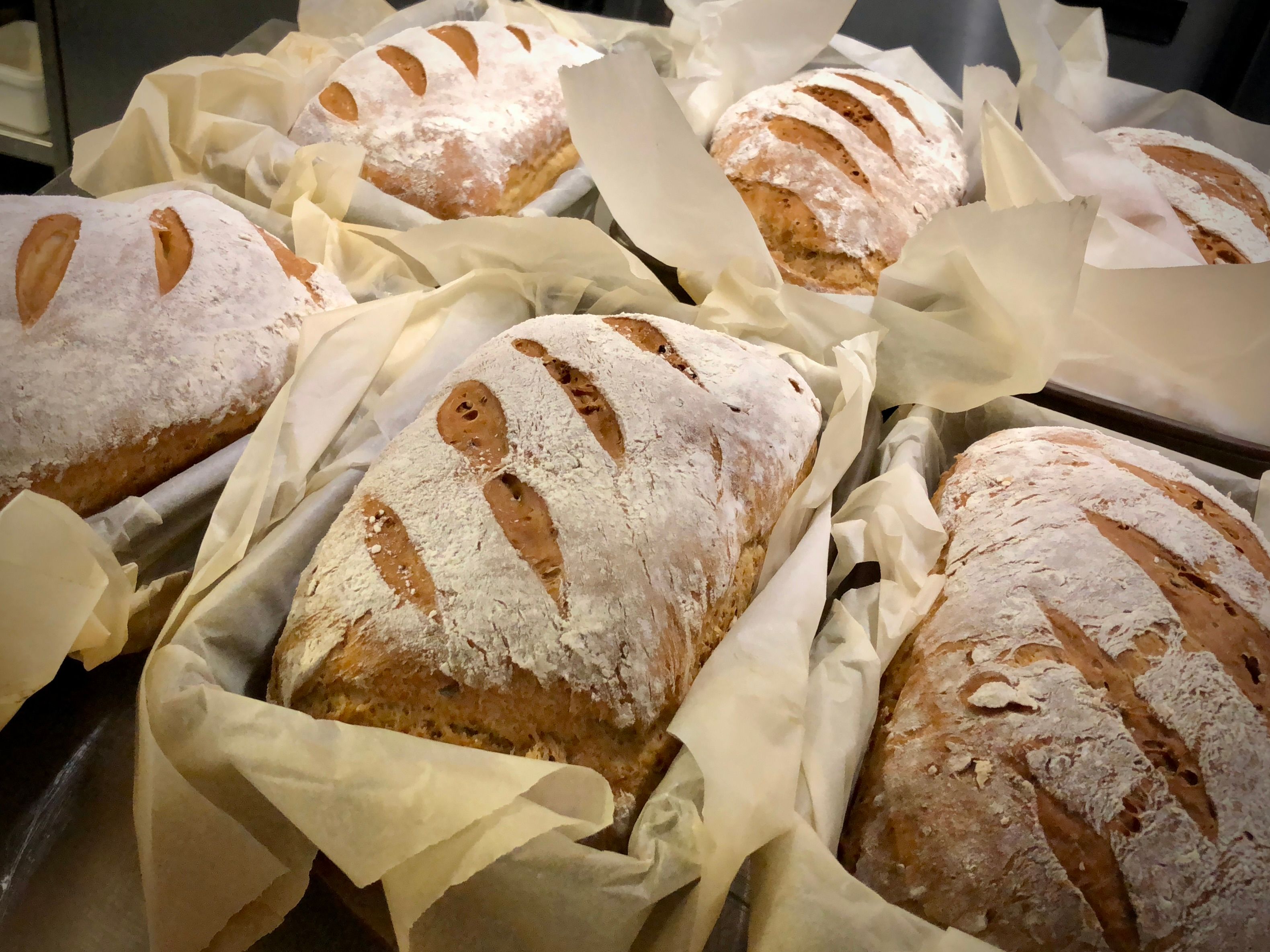 Loaves of freshly baked bread in parchment paper