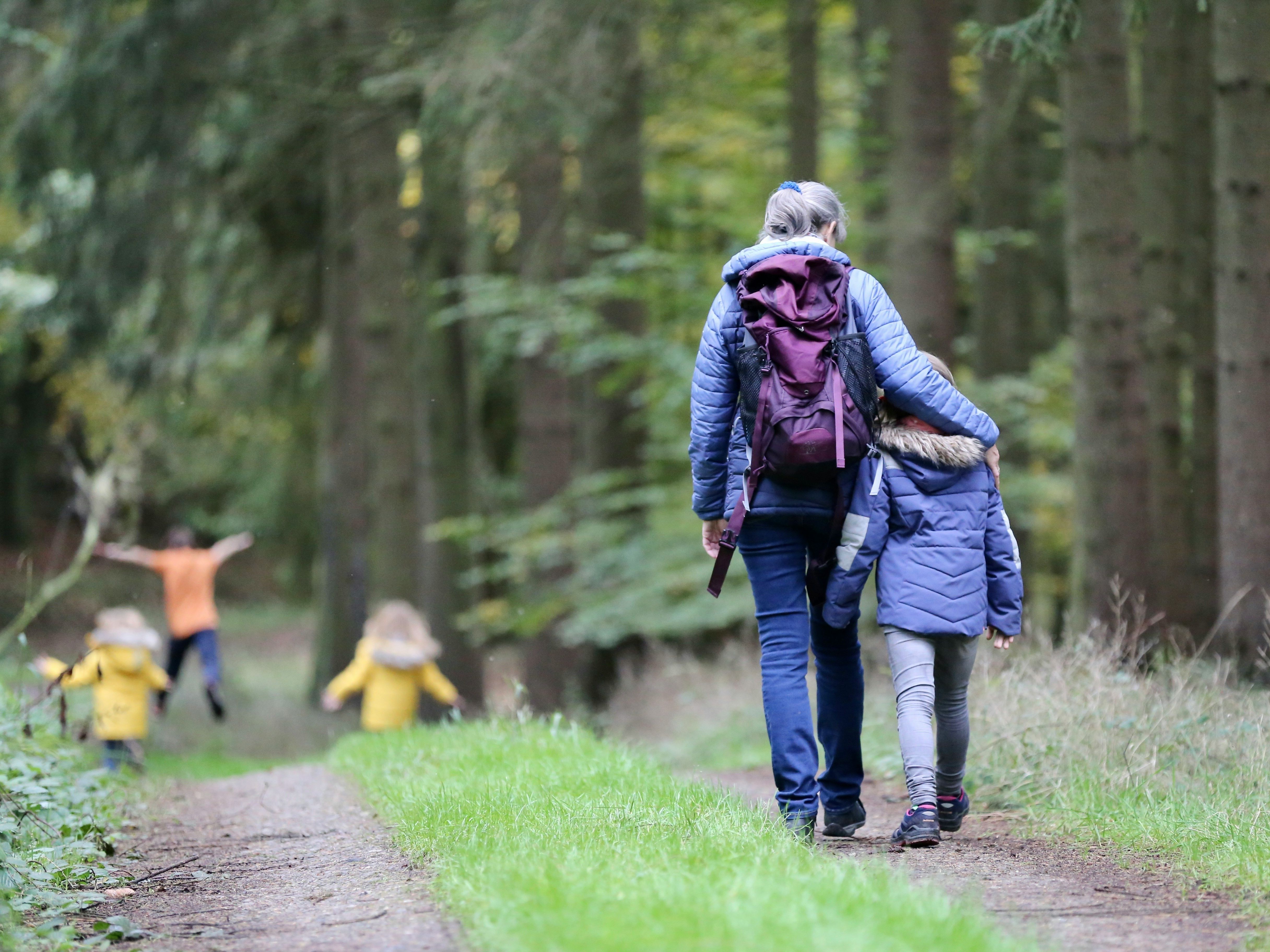 Adult and child walking together on a forest path, with other children playing ahead