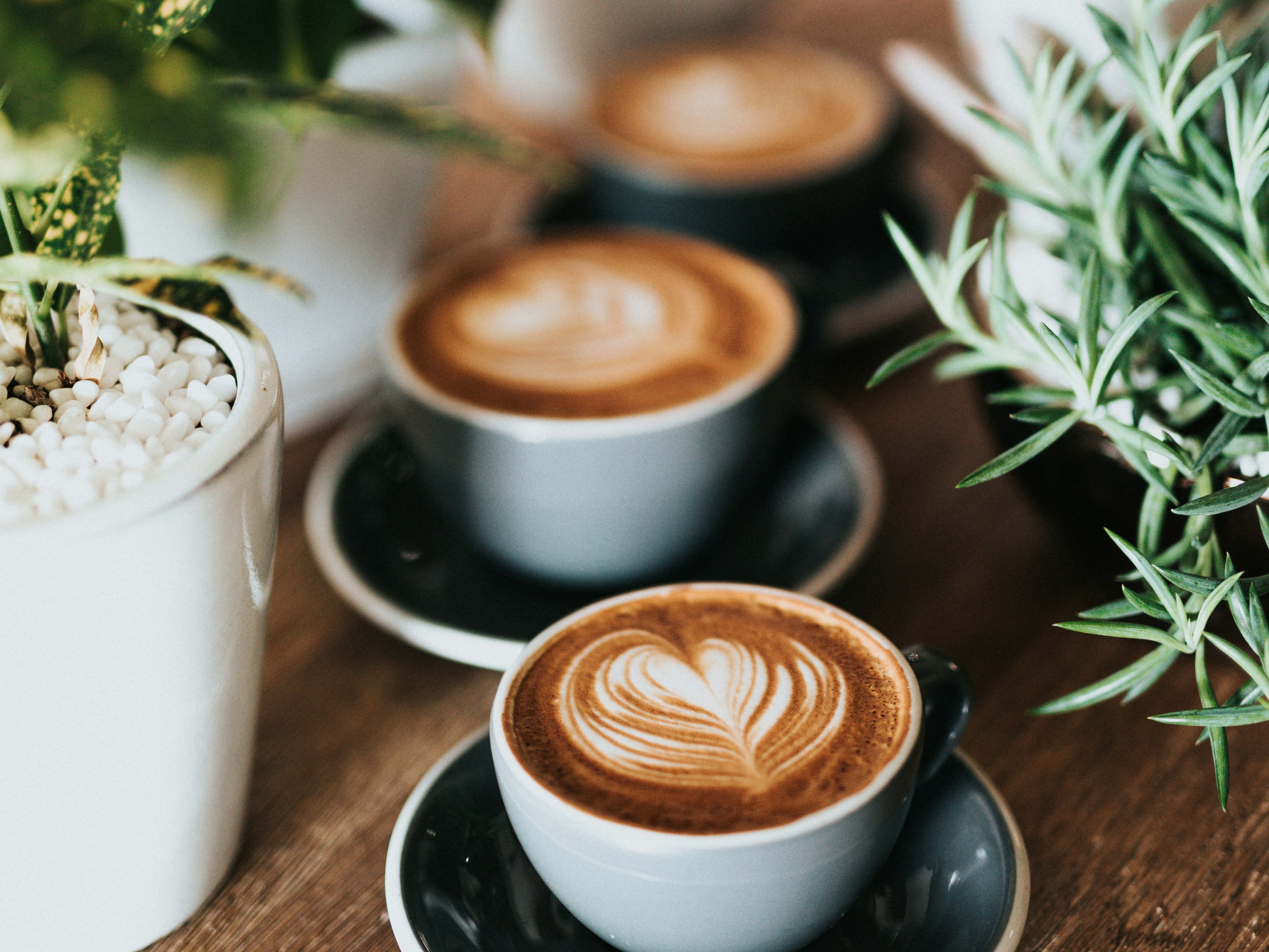 Three cups of latte with latte art on a wooden table surrounded by potted plants