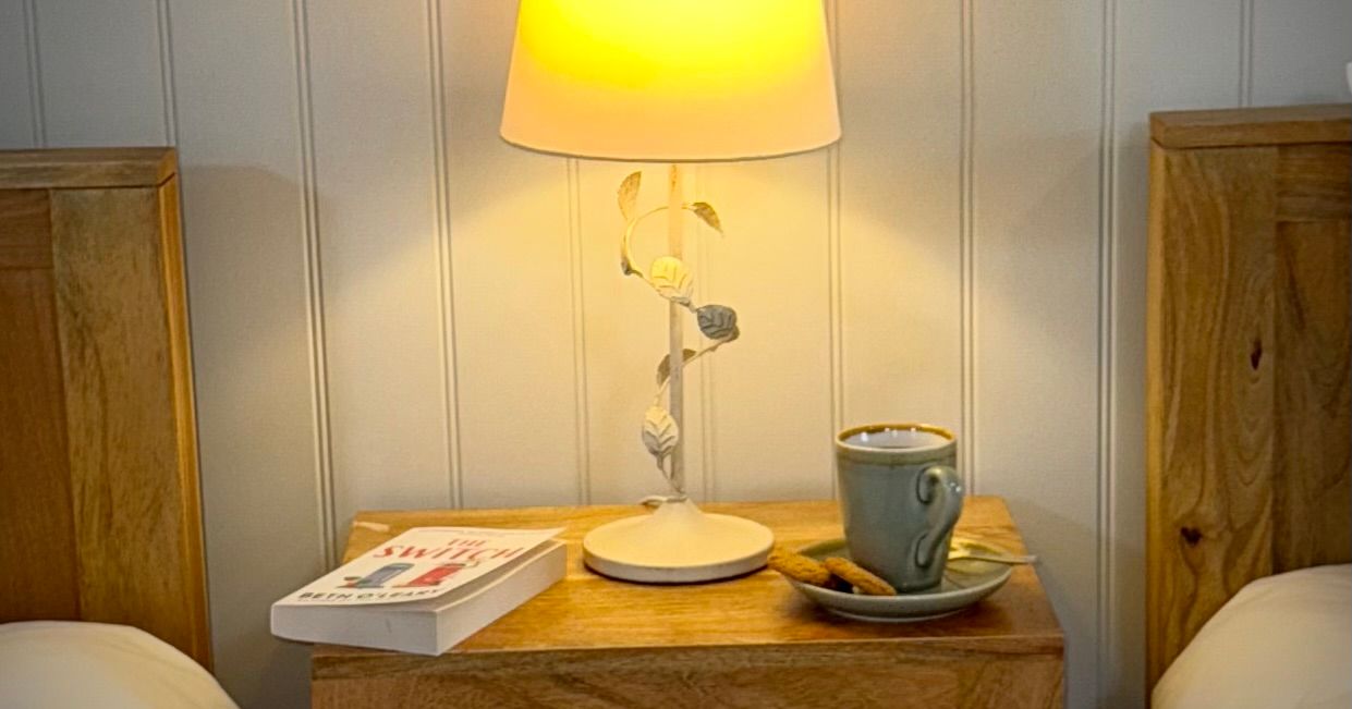 Bedside table with lamp, book, cup and saucer between two beds