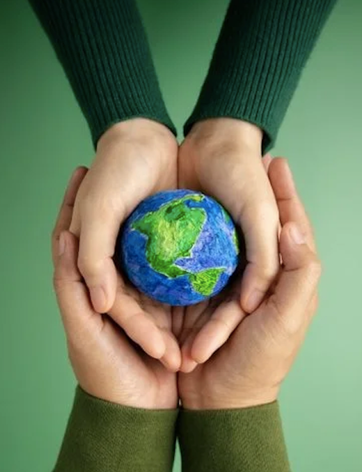 Hands holding a small Earth model symbolizing care for the planet