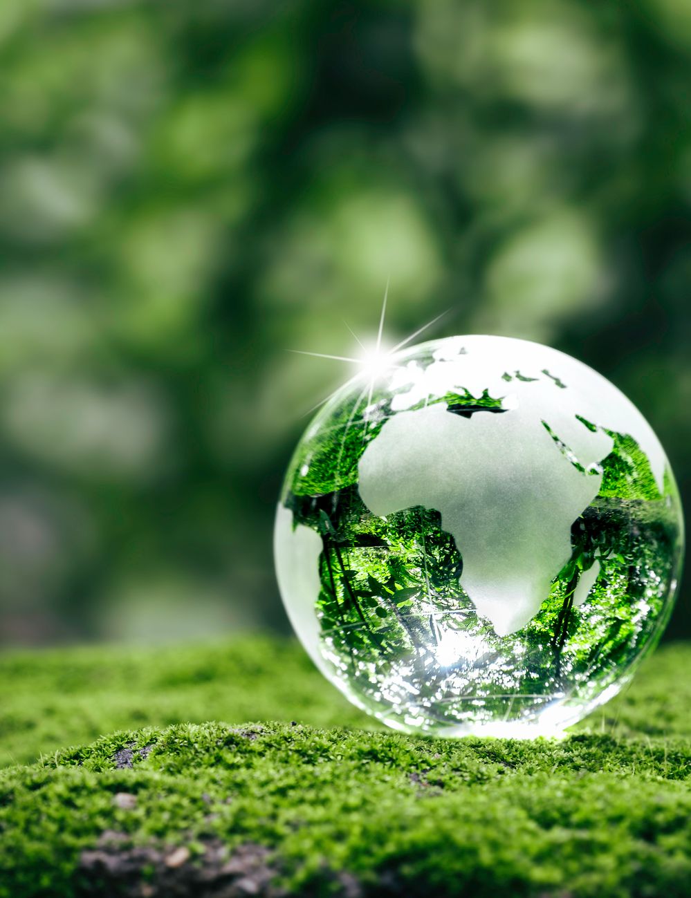 Glass globe with Africa visible, resting on lush green moss outdoors