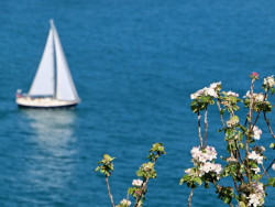 Boat on sea