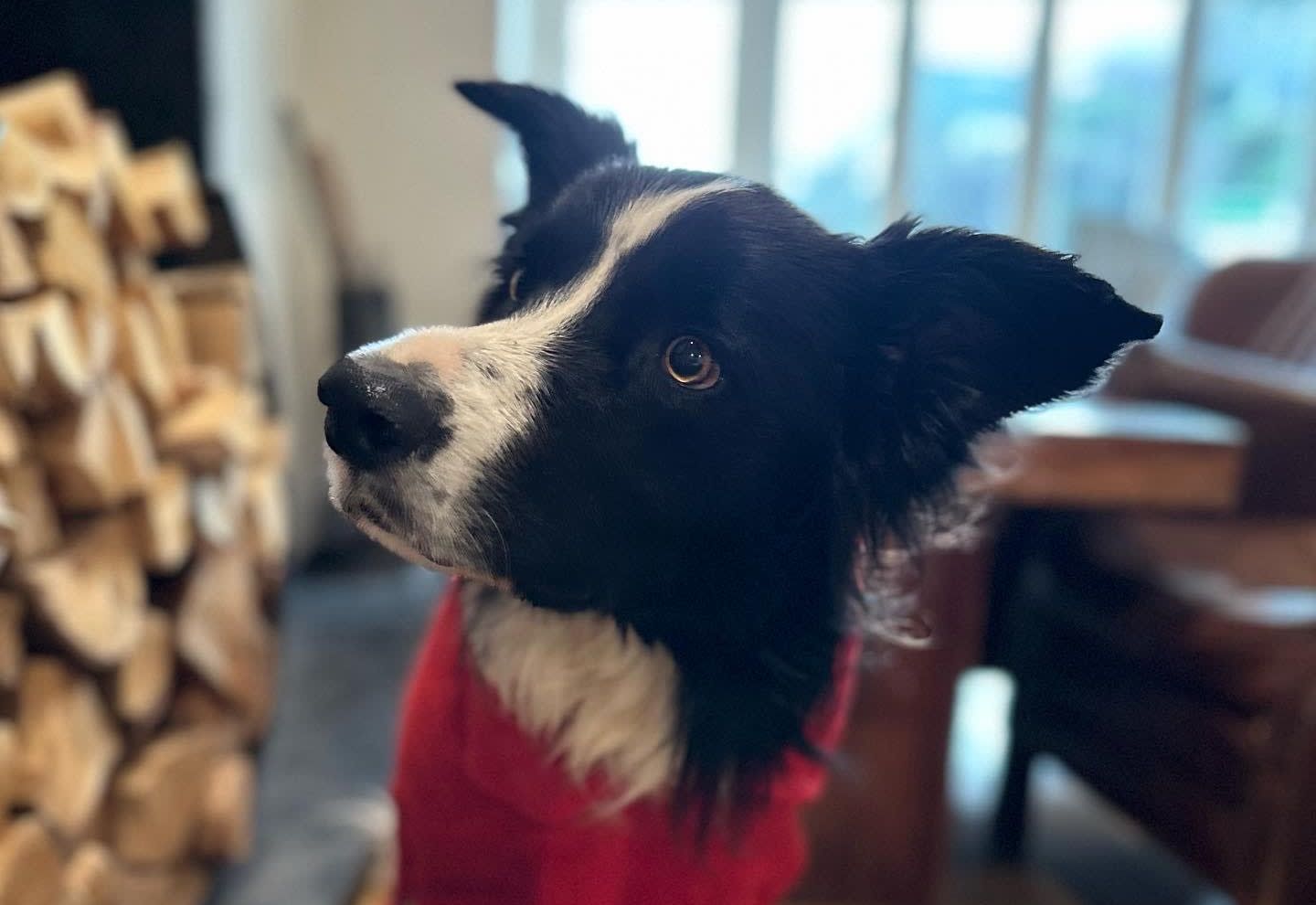 Bob wearing a Ruff and Tumble coat