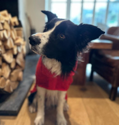 Bob wearing a Ruff and Tumble coat
