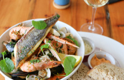 food19