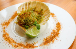 food21