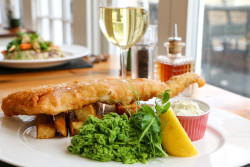 food25