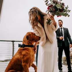 WEDDING 7