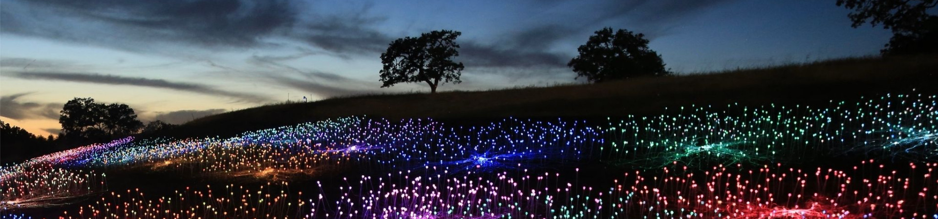 Field of Light
