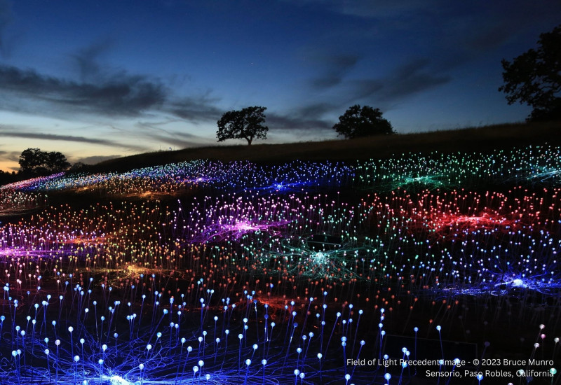 Field of Light