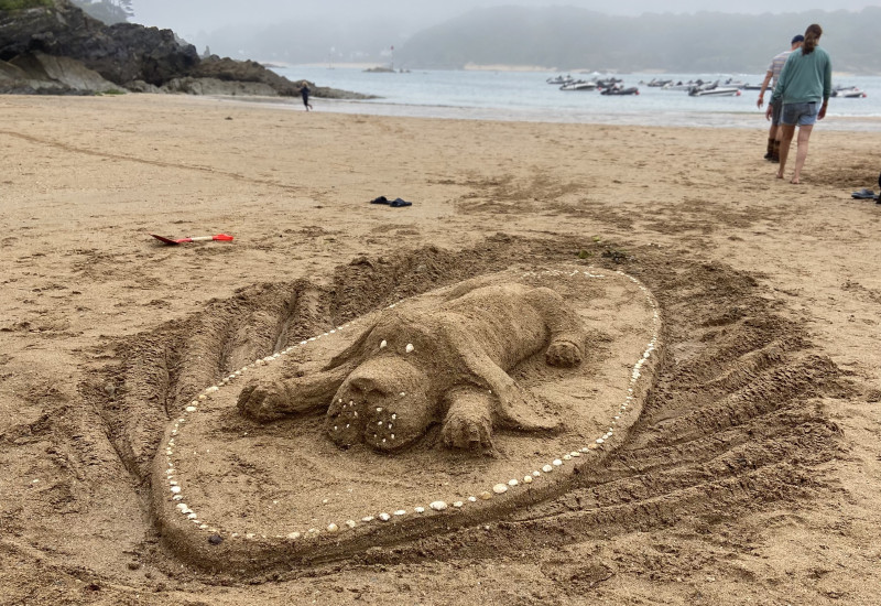 Sandcastle Competition