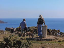 People standing at a coastal viewpoint with a dog, overlooking the sea on a clear day