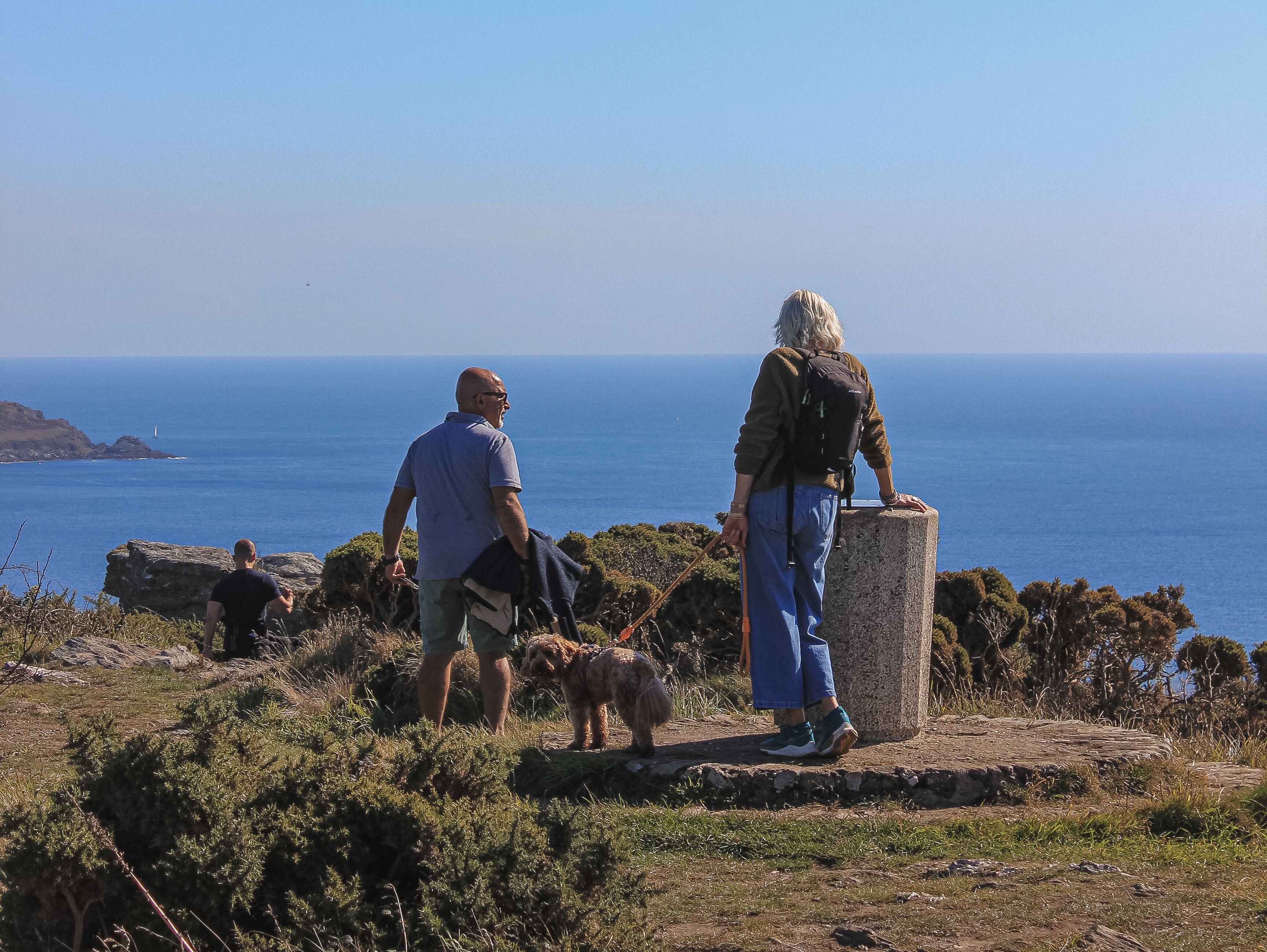 People standing at a coastal viewpoint with a dog, overlooking the sea on a clear day