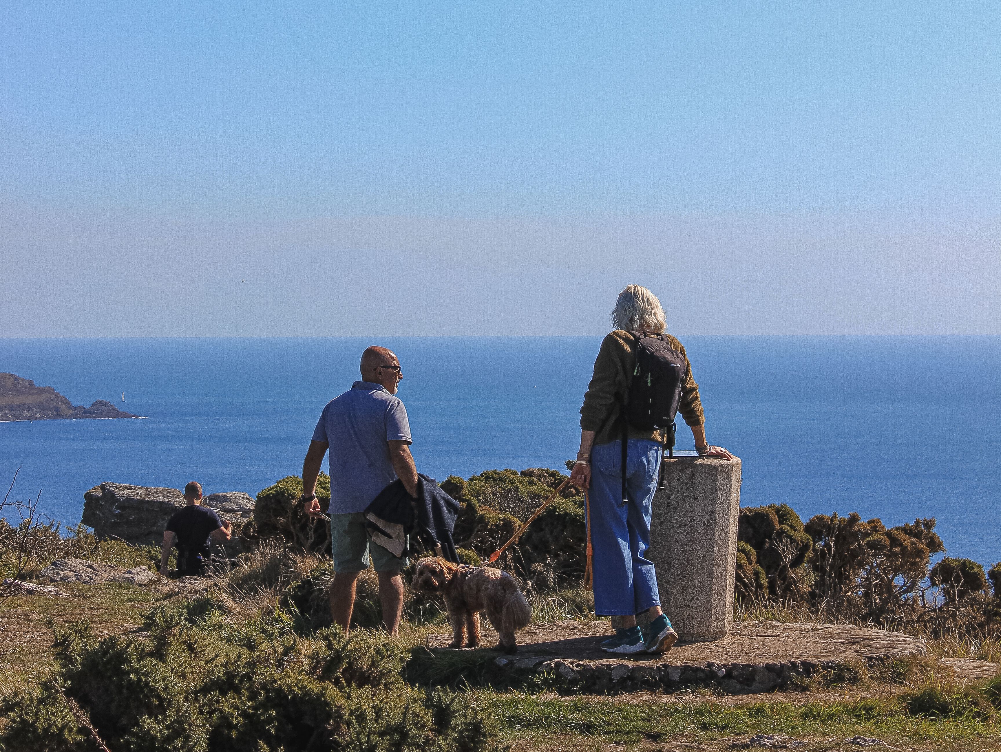 People standing at a coastal viewpoint with a dog, overlooking the sea on a clear day
