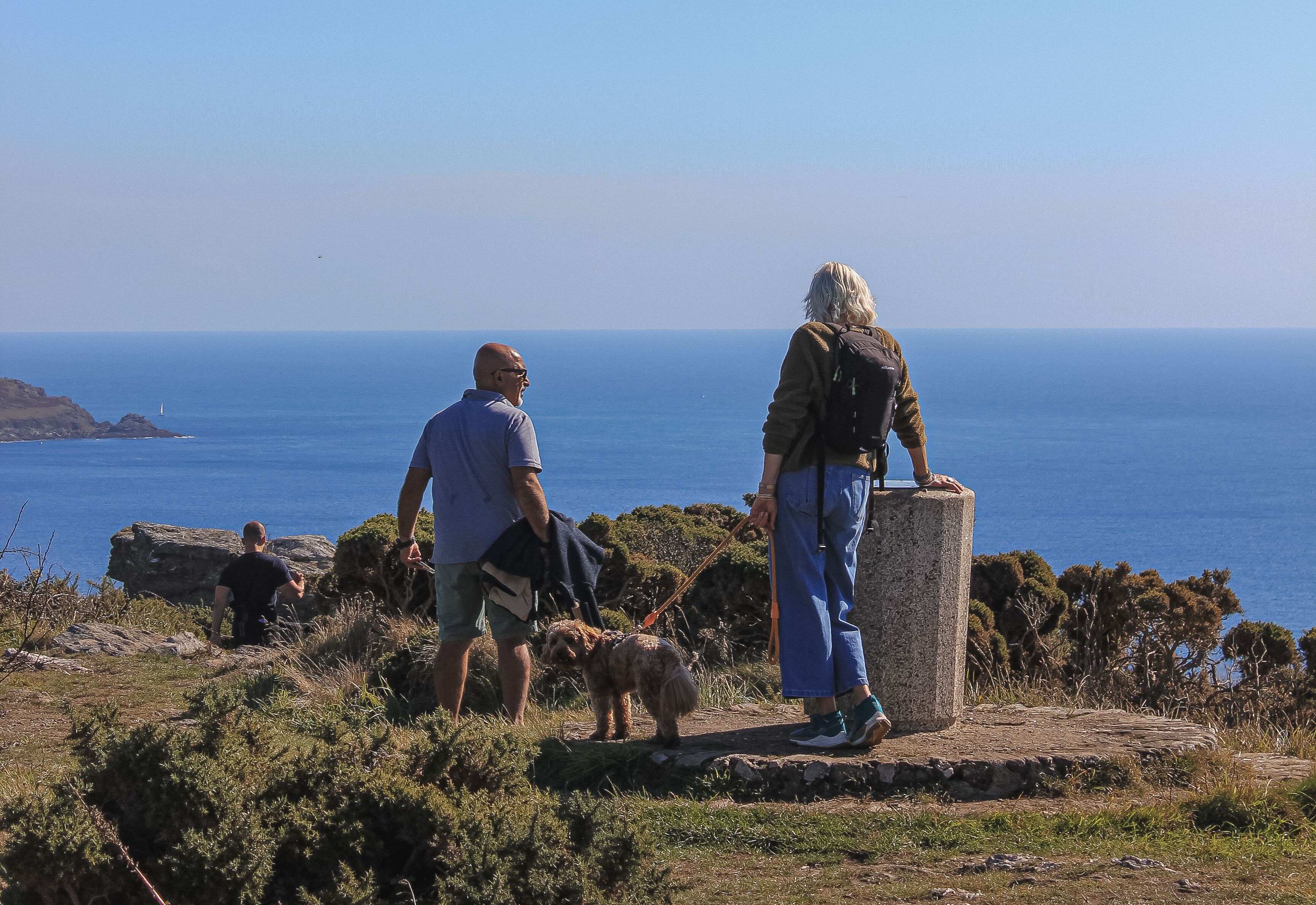 People standing at a coastal viewpoint with a dog, overlooking the sea on a clear day