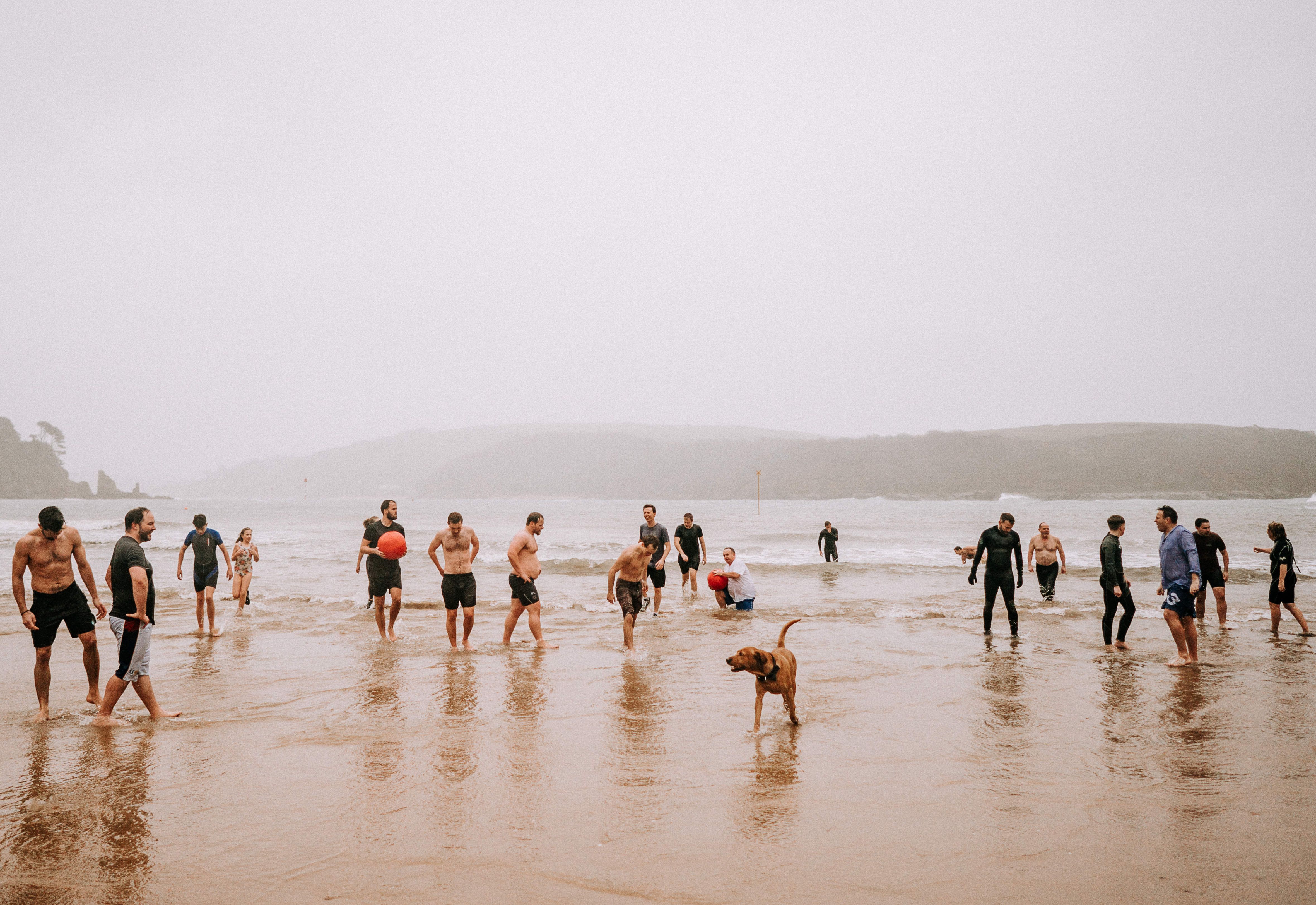 Group of people wading in the sea on a misty beach, with a dog in the foreground