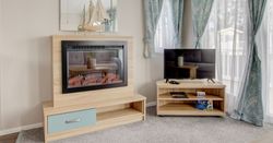 TV and Fireplace