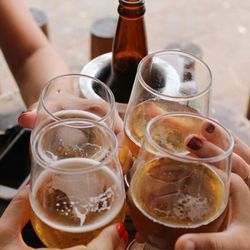Four people clinking glasses of beer in a toast