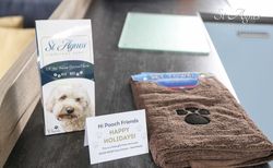 Fistral Dog gift - Copy - Copy