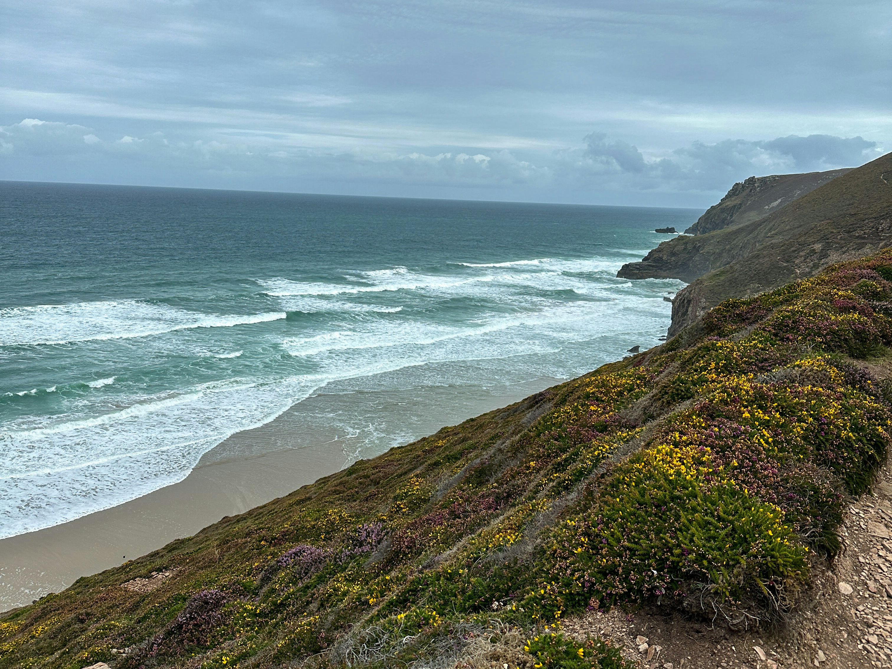 Coastal cliffside with wildflowers overlooking a sandy beach and ocean waves under a cloudy sky