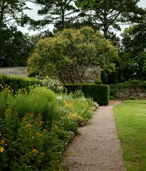 A gravel pathway winding through a lush garden with green bushes, flowering plants, and trees. A stone wall and tall pine trees are visible in the background.