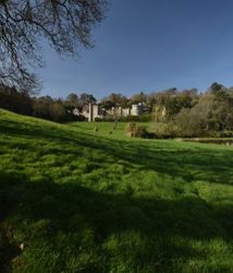 Distant view of Caerhays Castle surrounded by trees and green grassy fields under a clear blue sky