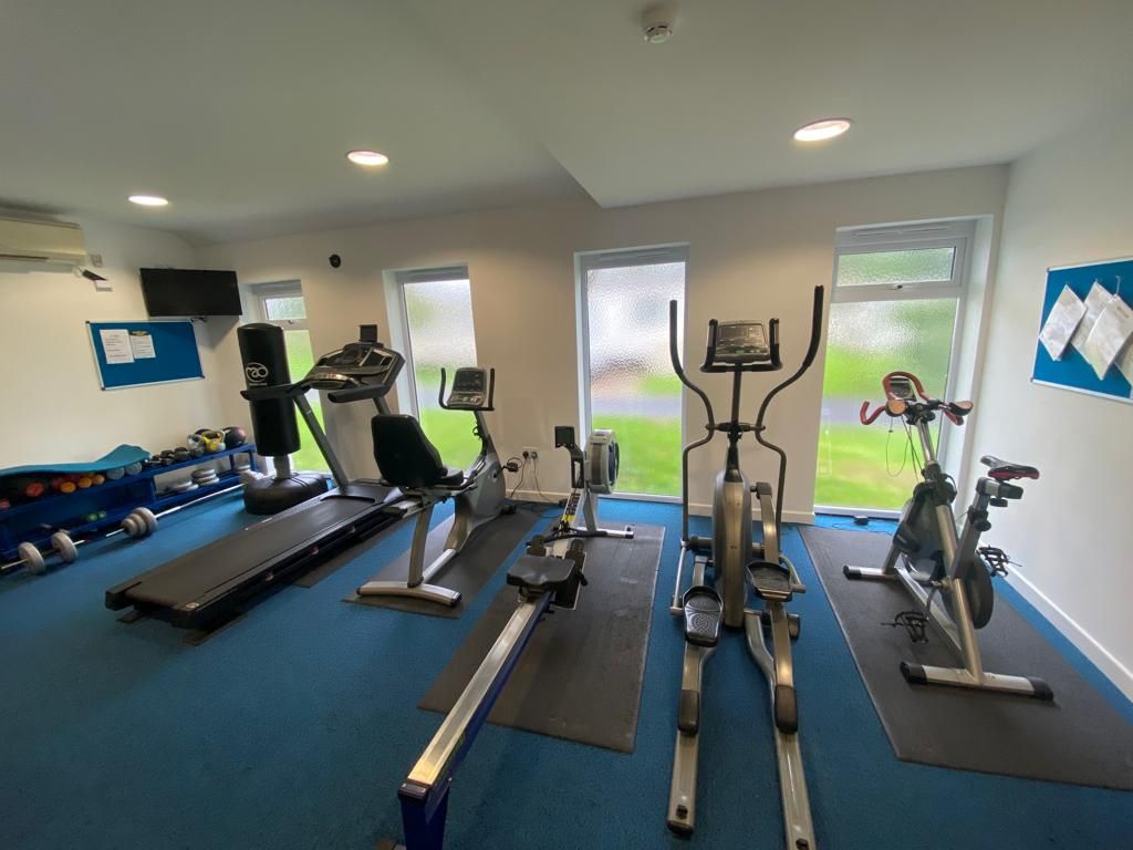 Small gym room with various fitness equipment including treadmills, an elliptical machine, stationary bikes, dumbbells, kettlebells, a TV, and blue carpet flooring.