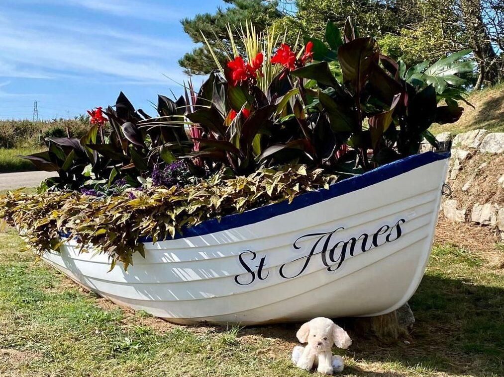 A white boat repurposed as a planter filled with green and red plants, labeled 'St Agnes,' with a small stuffed dog placed in front of it on grass.
