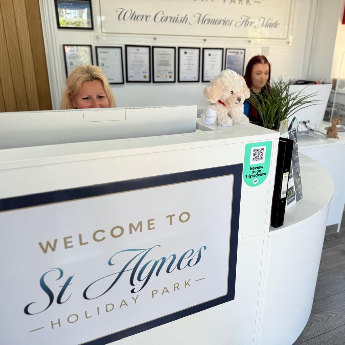 Reception area at St Agnes Holiday Park with two people at the front desk, certificates on the wall, and a stuffed dog toy on the counter.