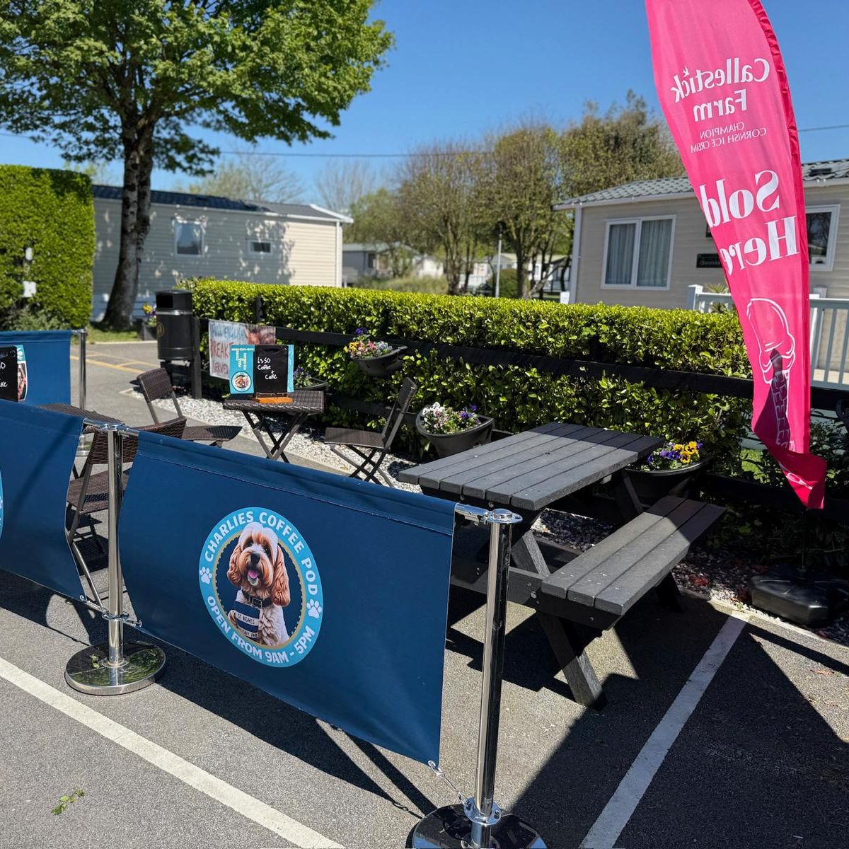 Outdoor seating area of Charlies Coffee Pod with blue banners and a red flag advertising Cornish ice cream, surrounded by hedges and mobile homes on a sunny day.