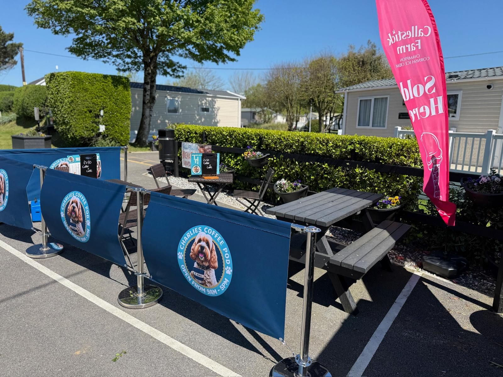 Outdoor seating area of Charlies Coffee Pod with blue banners and a red flag advertising Cornish ice cream, surrounded by hedges and mobile homes on a sunny day.