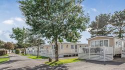 Row of modern mobile homes with white decking under trees in a holiday park.