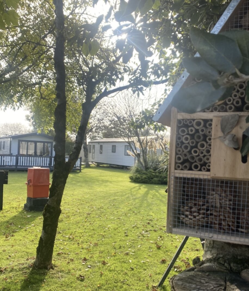 A close-up of a wooden insect hotel in a grassy area with mobile homes and trees in the background.