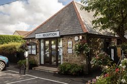 Reception 2