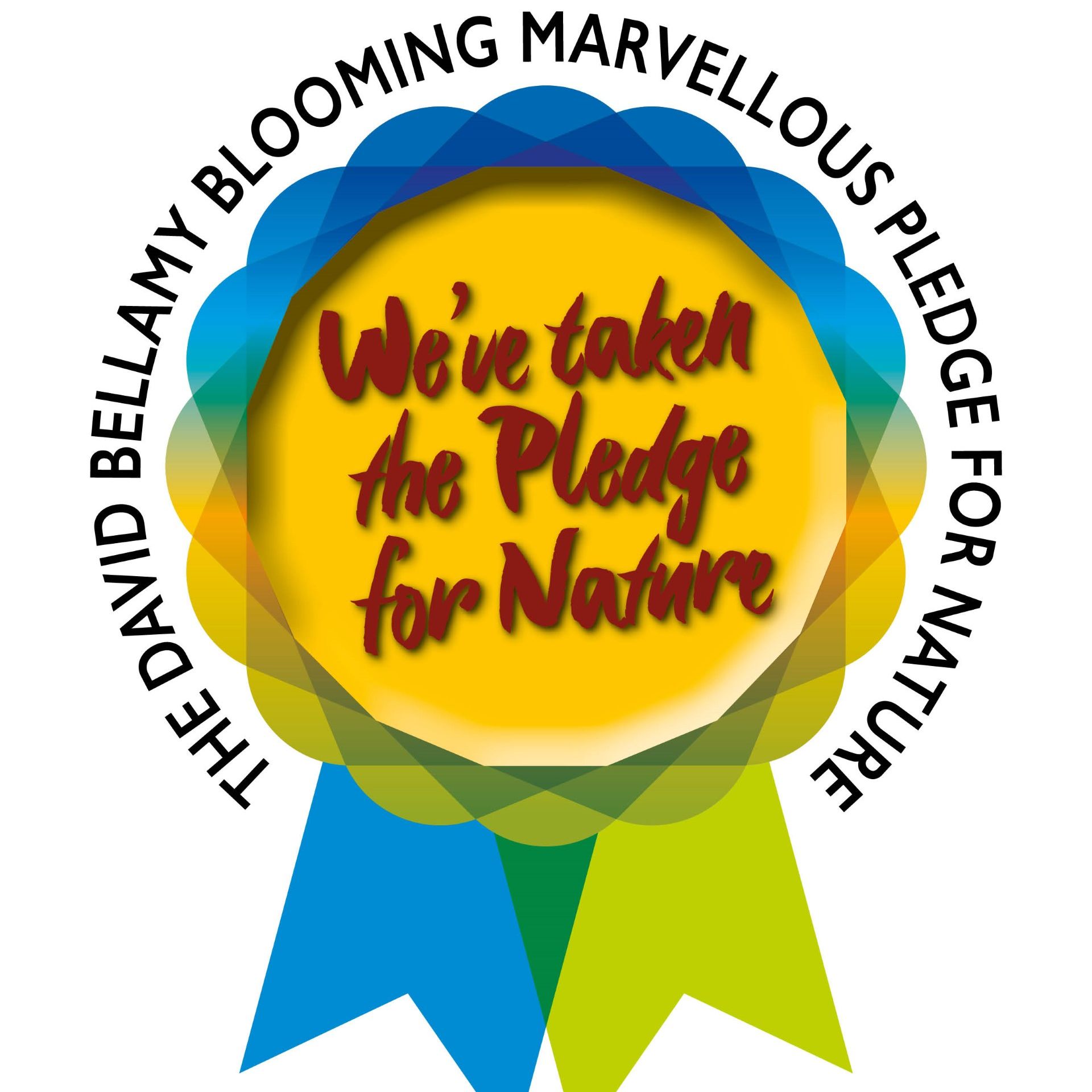 David Bellamy Blooming Marvellous Pledge for Nature badge with colorful ribbons and the text 'We've taken the Pledge for Nature'.