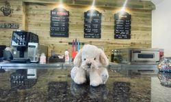 Shop-banner