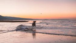 humphrey-muleba-c1Os0G1fQzI-unsplash