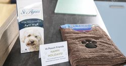Fistral Dog gift with dog leaflet and brown towel with paw print