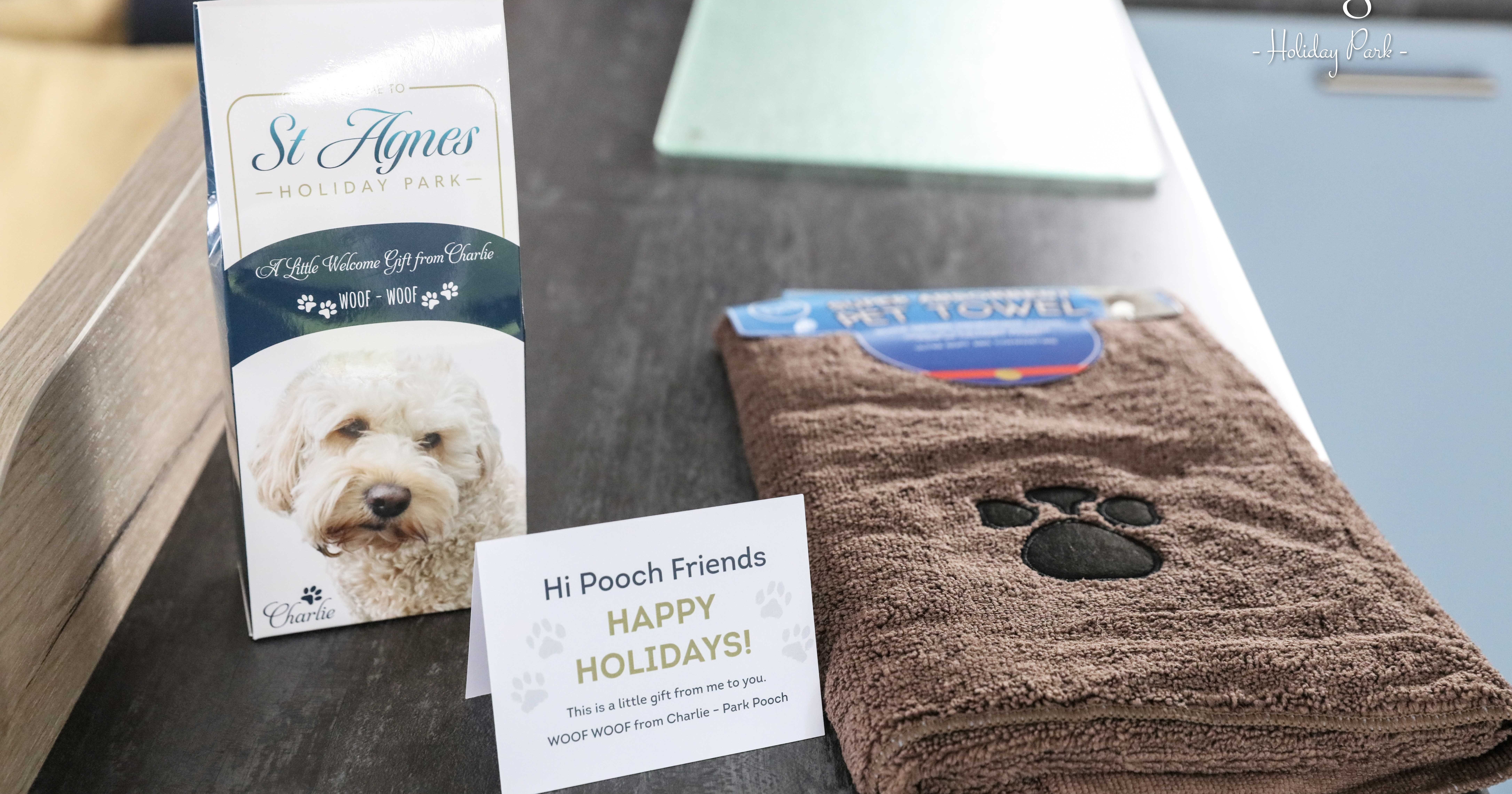 Fistral Dog gift with dog leaflet and brown towel with paw print