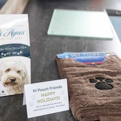 Fistral Dog gift with dog leaflet and brown towel with paw print