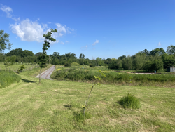 05/06/2025  The site on a warm summers day.