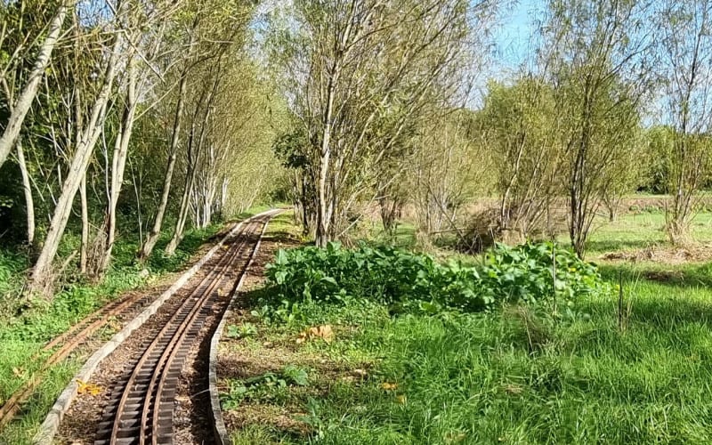 westbuckimgoutinthesticks