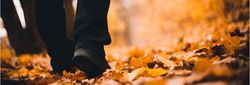 Person walking through autumn leaves on a forest path
