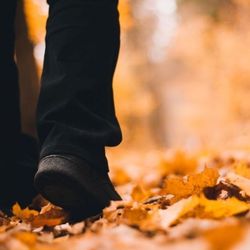 Person walking through autumn leaves on a forest path