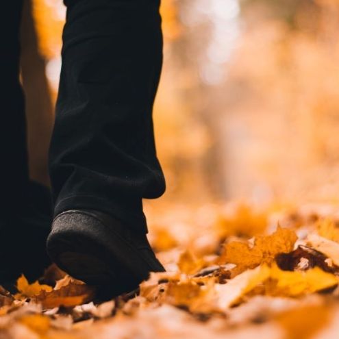 Person walking through autumn leaves on a forest path
