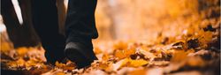 Person walking through autumn leaves on a forest path