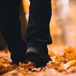 Person walking through autumn leaves on a forest path