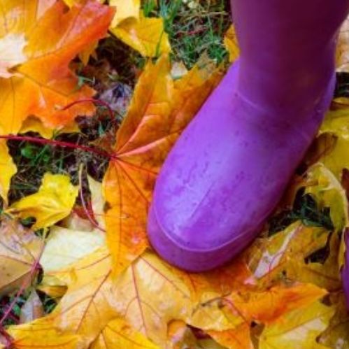 Person wearing purple rain boots standing on colorful autumn leaves