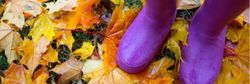 Person wearing purple rain boots standing on colorful autumn leaves